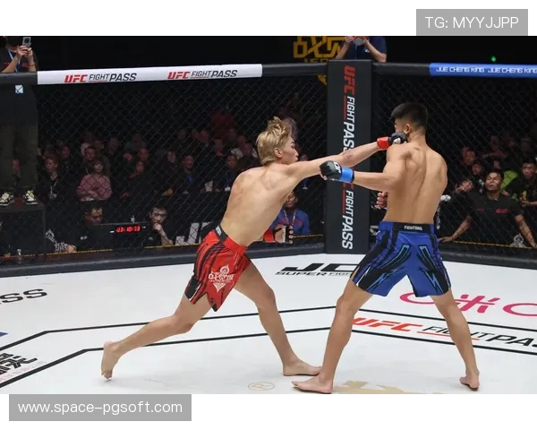 爱尔兰新星崛起，UFC欧洲选手培养体系成效显著